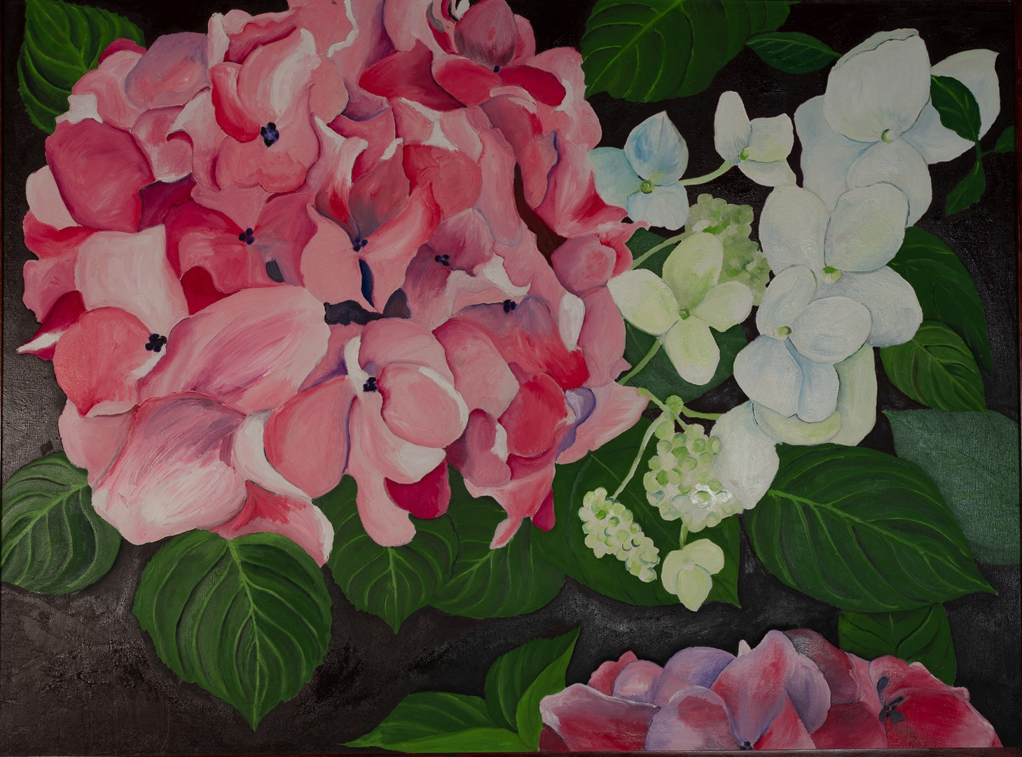 Hortensia Canvas Print